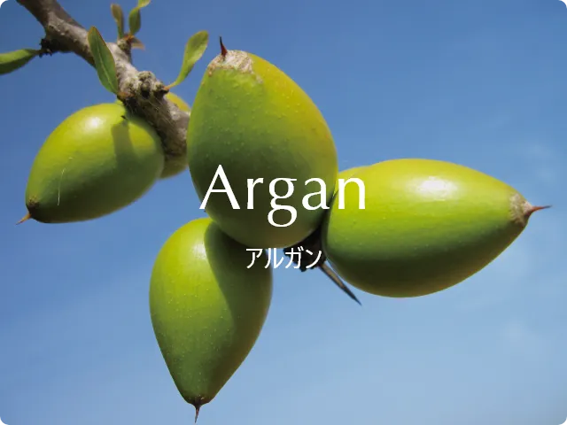 Argan