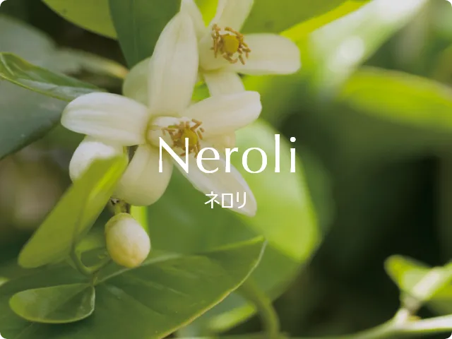 Neroli